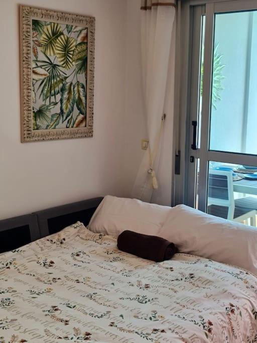 Homely Apt In Modern Building With Pool سان ميغيل ذي أبونا المظهر الخارجي الصورة