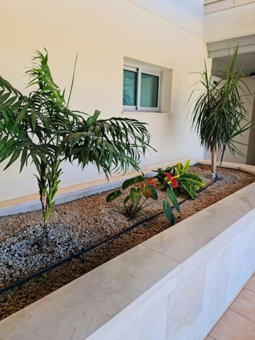 Homely Apt In Modern Building With Pool سان ميغيل ذي أبونا المظهر الخارجي الصورة
